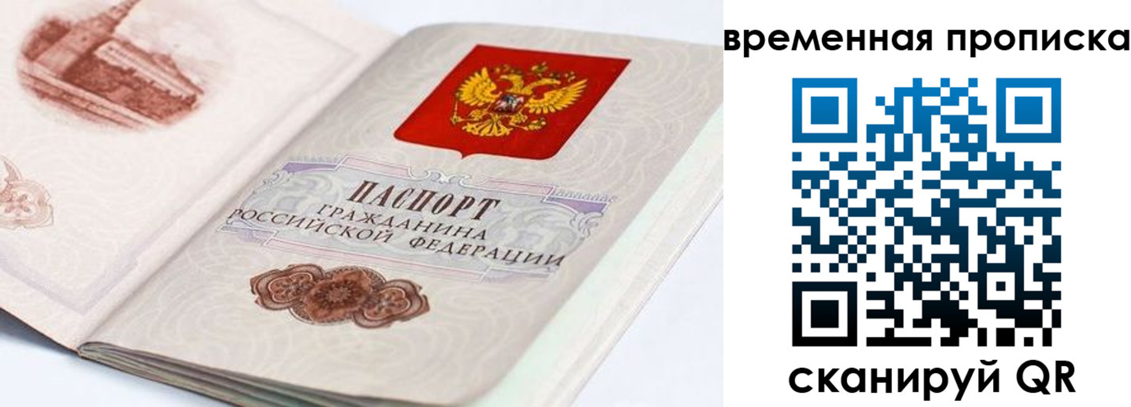 прописка 2025 в Высоковске